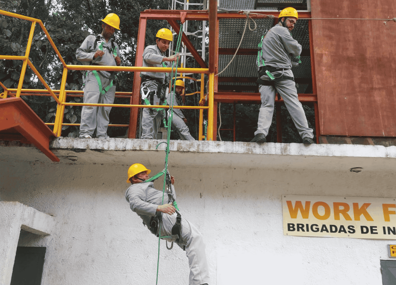 Trabalho em Altura WF 4