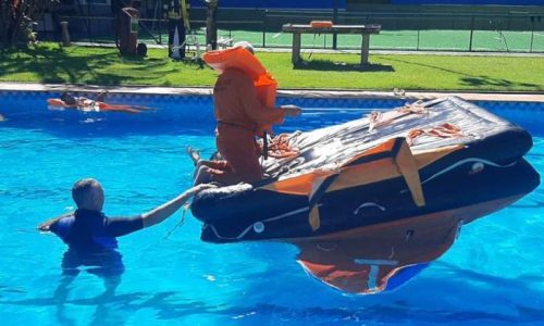 curso navio